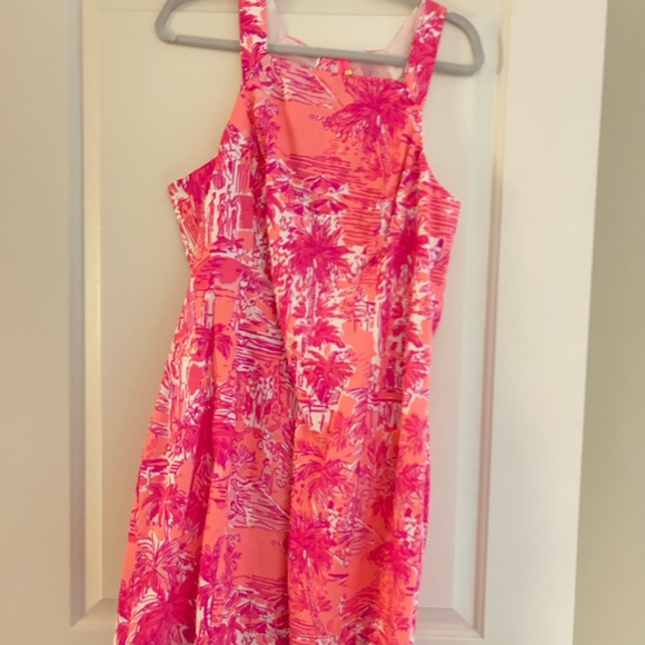 BNWT Lilly Pulitzer Simone toile shift “cheeky melon rule breakers” size 16 - Picture 5 of 5